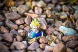 Dragon Ball Z Majin Vegeta